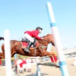 конный спорт конкур татерсаль конь лошадь