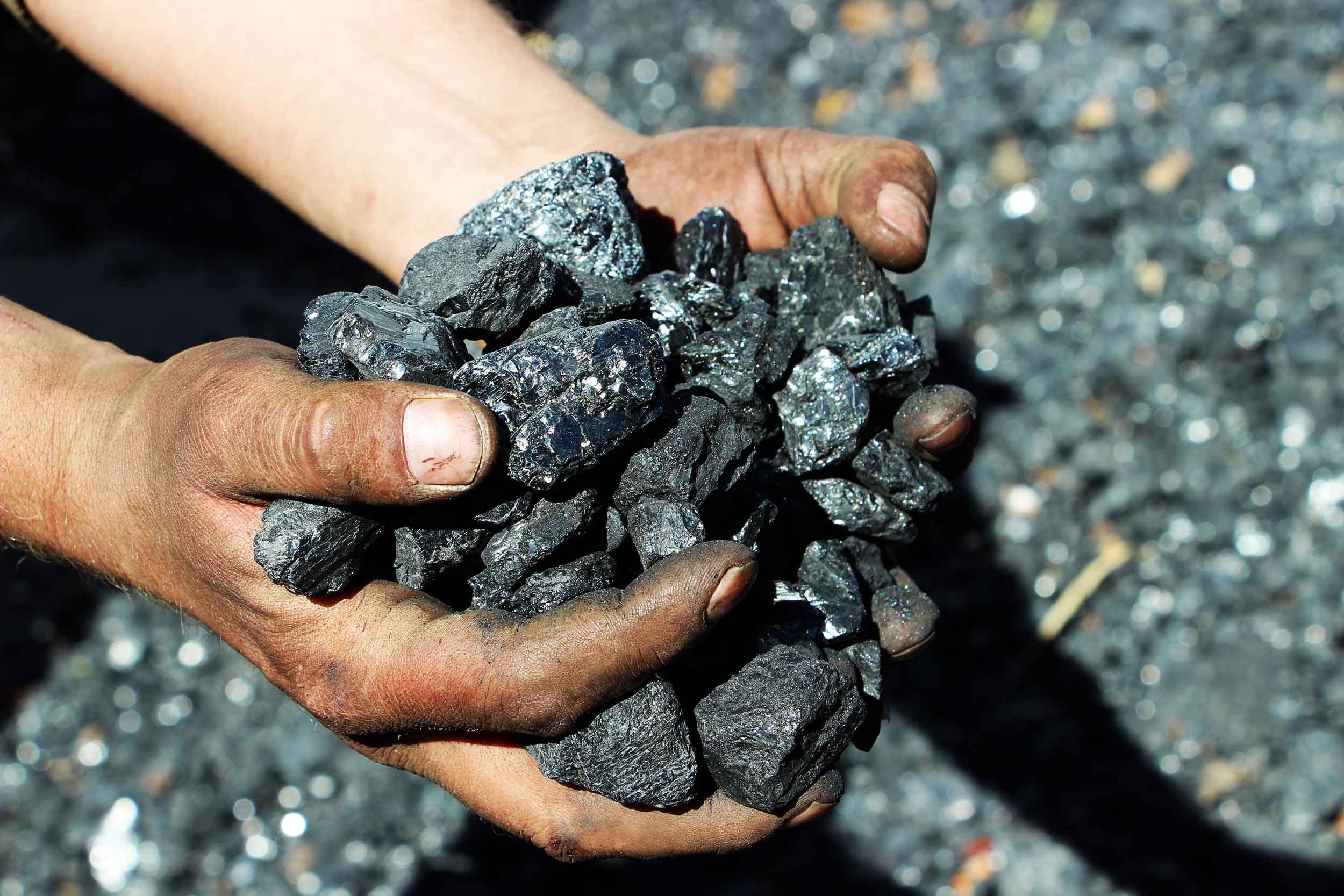 Каменный уголь Кузбасса